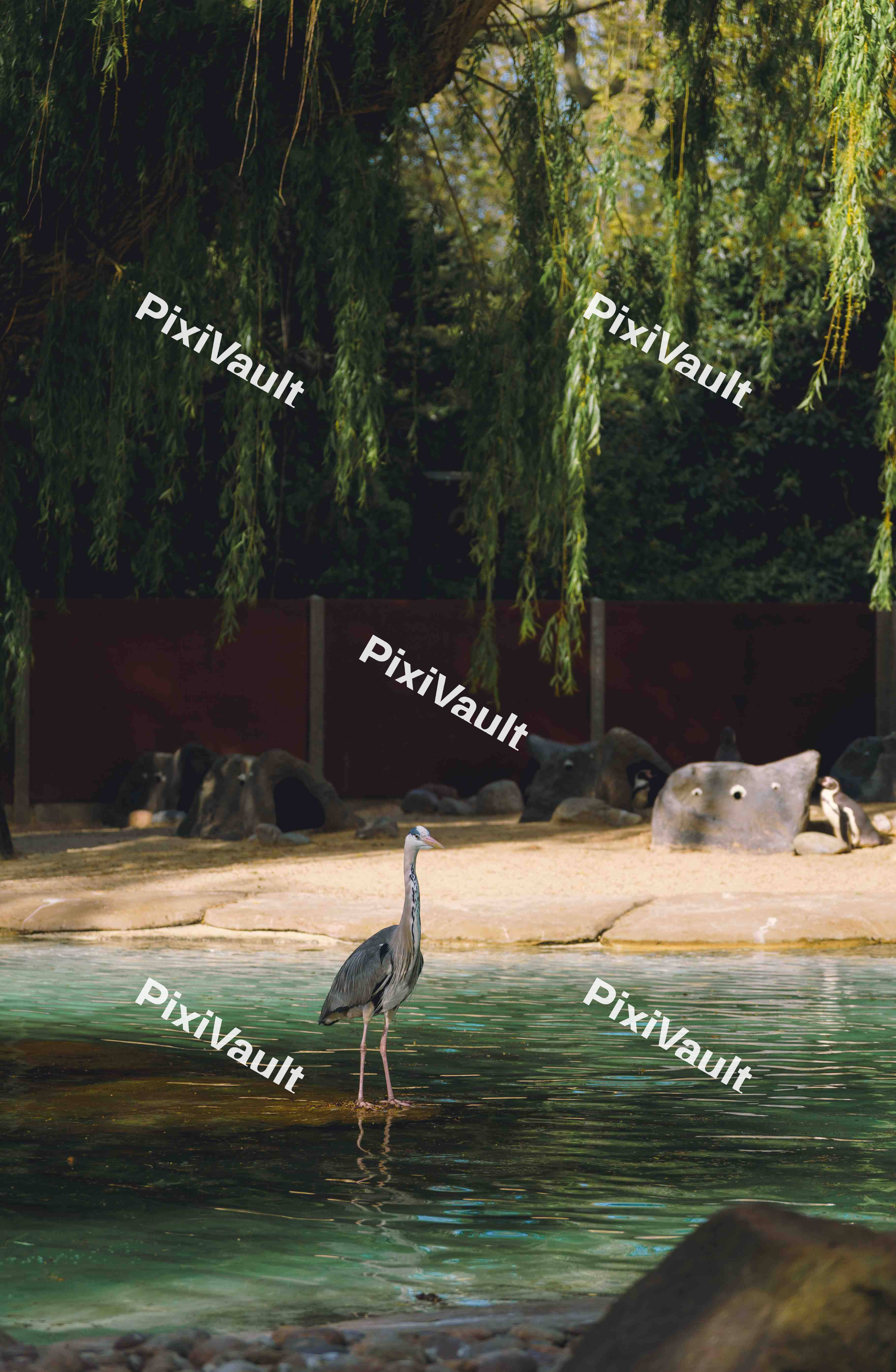 Tranquil Heron (Variation)